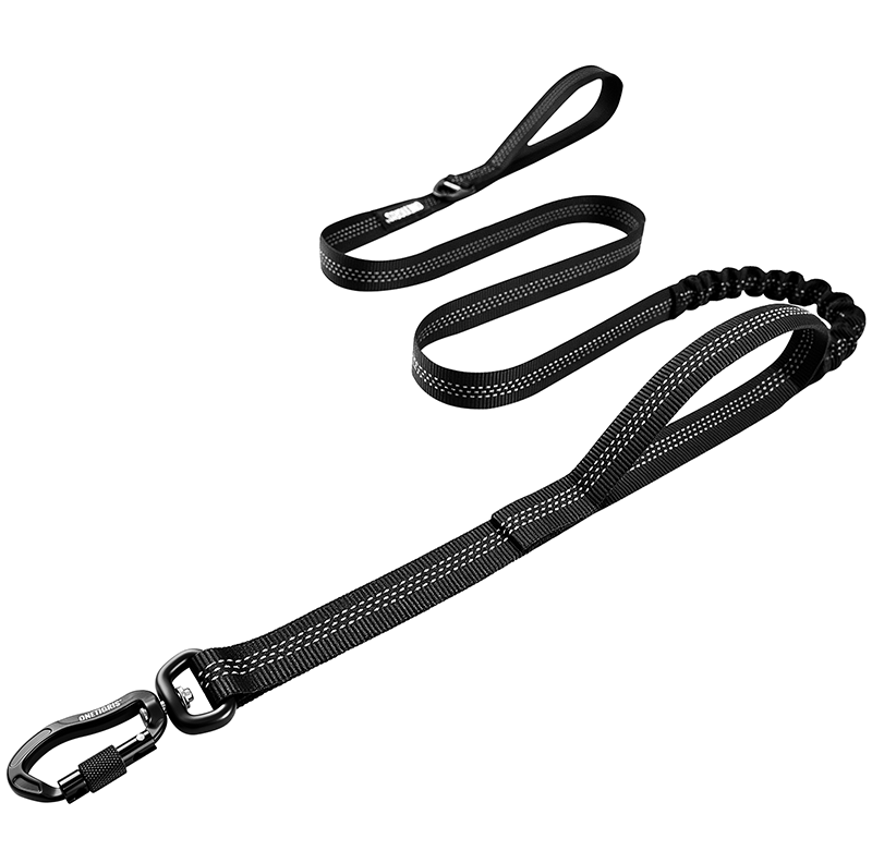 Carabiner Dog Leash 29