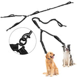 Two dogs walking outdoor with OneTigris swivel no tangle dual head bungee dog leash