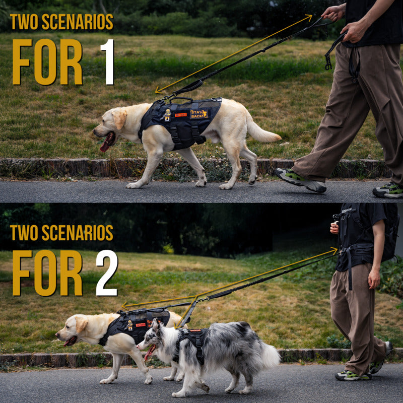 Switchable single or two dog mode of no tangle heavy duty swivel dual head leash