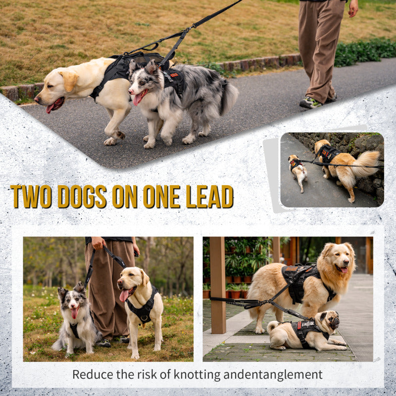 Two large dogs walking roadside with OneTigris no tangle dual head bungee dog leash