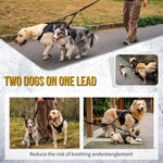 Two large dogs walking roadside with OneTigris no tangle dual head bungee dog leash