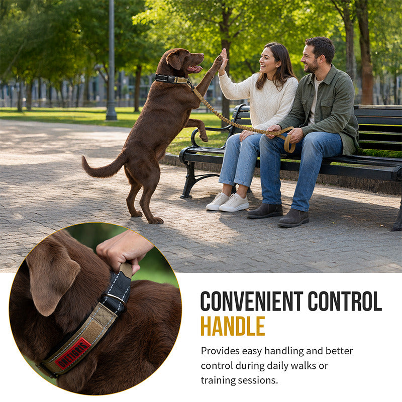 Tactical dog collar with grab handle for close control during dog training
