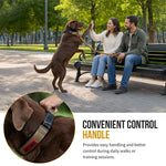 Tactical dog collar with grab handle for close control during dog training