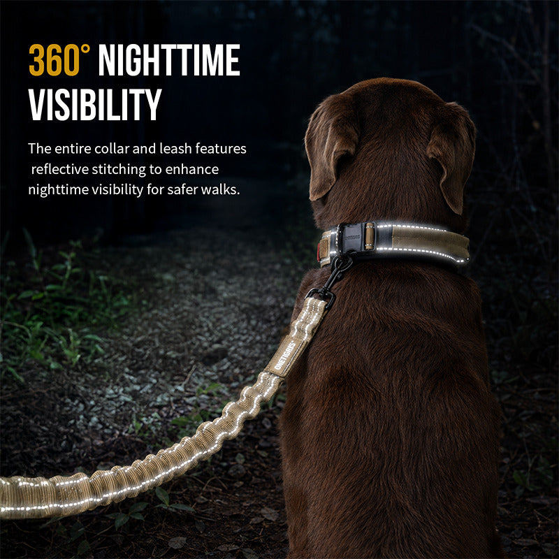 Reflective dog collar and leash set for low-light nighttime walks