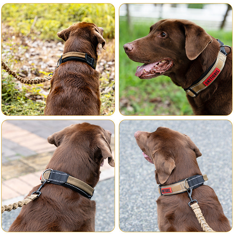 Large dog wearing the RUGGEDROVER padded reflective dog collar outdoors