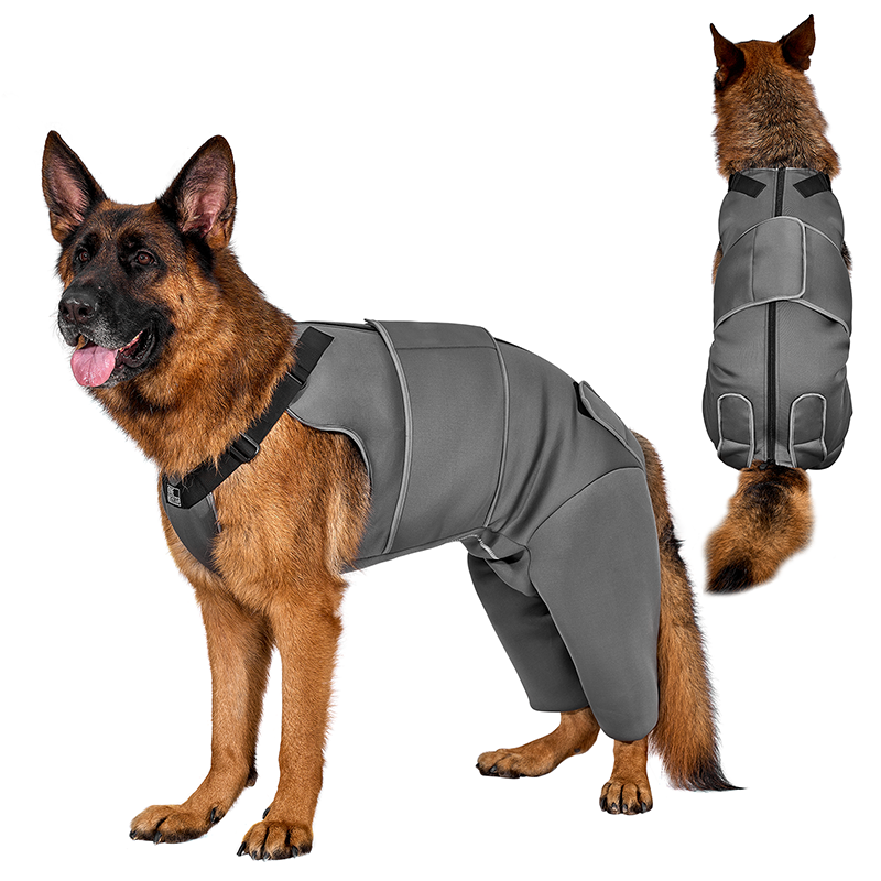 PAWREST Dog Recovery Suit