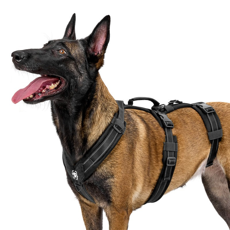 HOUNDLOCK Dog Harness