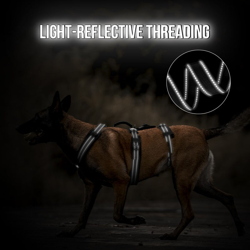 HOUNDLOCK Dog Harness – ONETIGRIS DOG GEAR