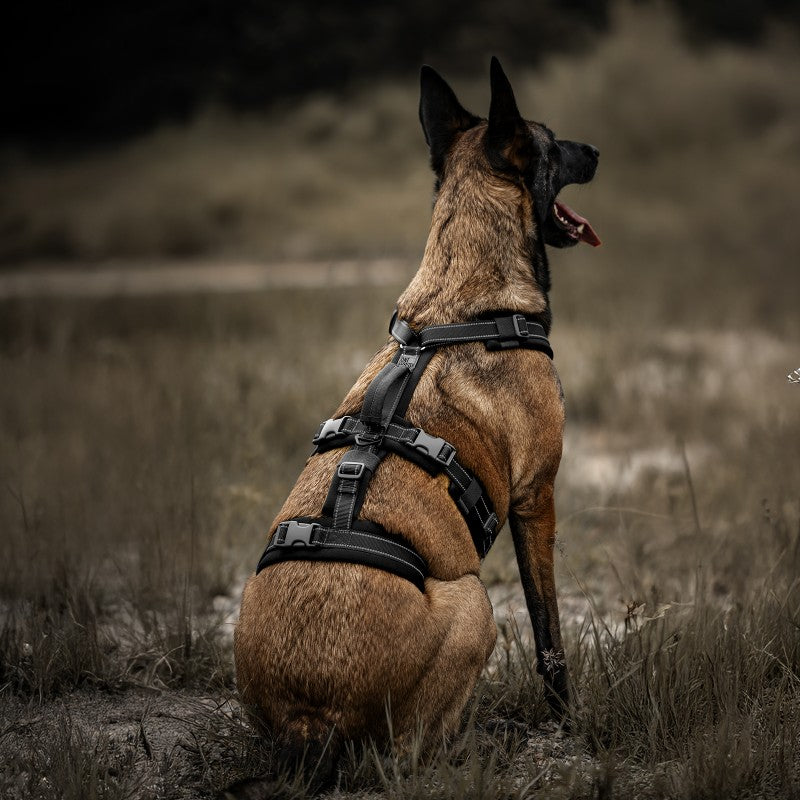 HOUNDLOCK Escape-Proof Dog Harness – Triple-Strap No-Pull for