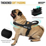 Pug wearing a black HALO padded dog harness with breathable mesh lining
