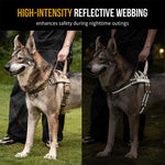 HALO reflective dog harness visibility during a low-light nighttime walk