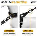 Front no-pull and back leash attachment rings on the HALO dog harness