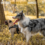 Pug and blue merle dog wearing HALO reflective harnesses on a forest walk