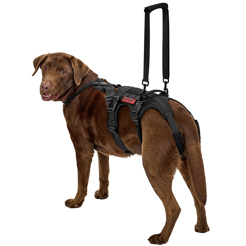 Hind Leg Support Vest