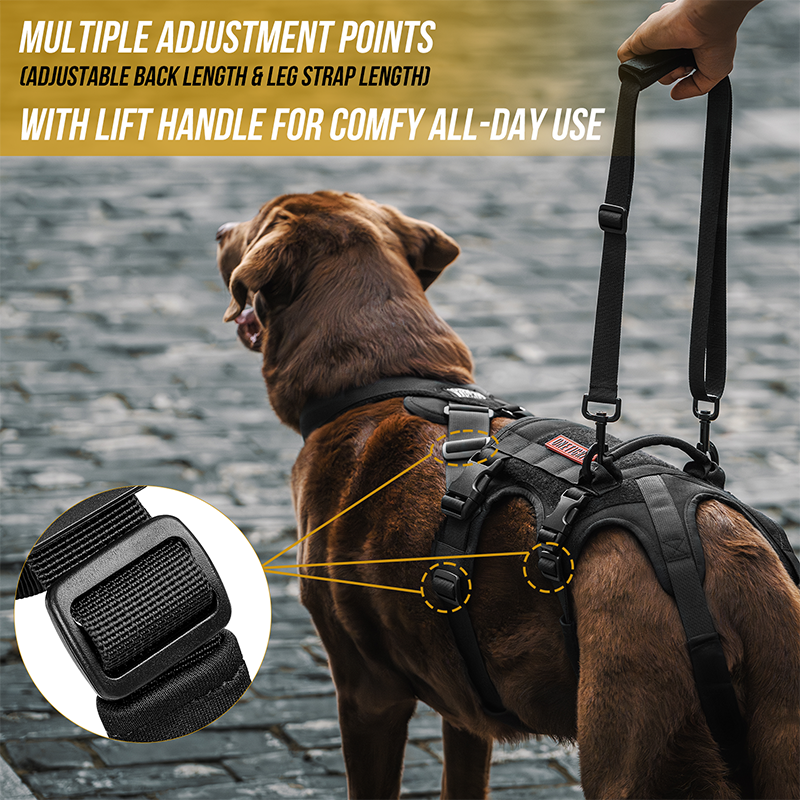 Hind Leg Support Vest