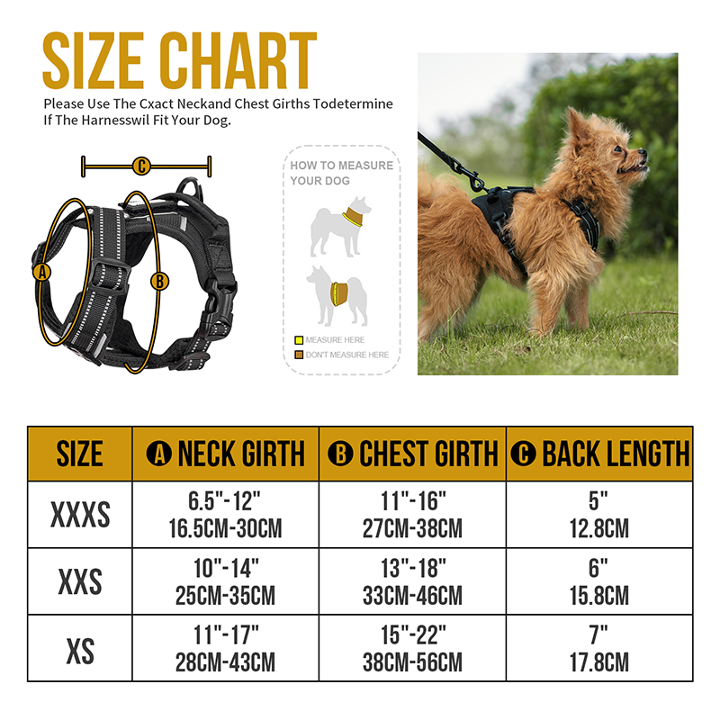 ANTZ Small Harness Set