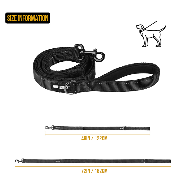 Dog Leash 16