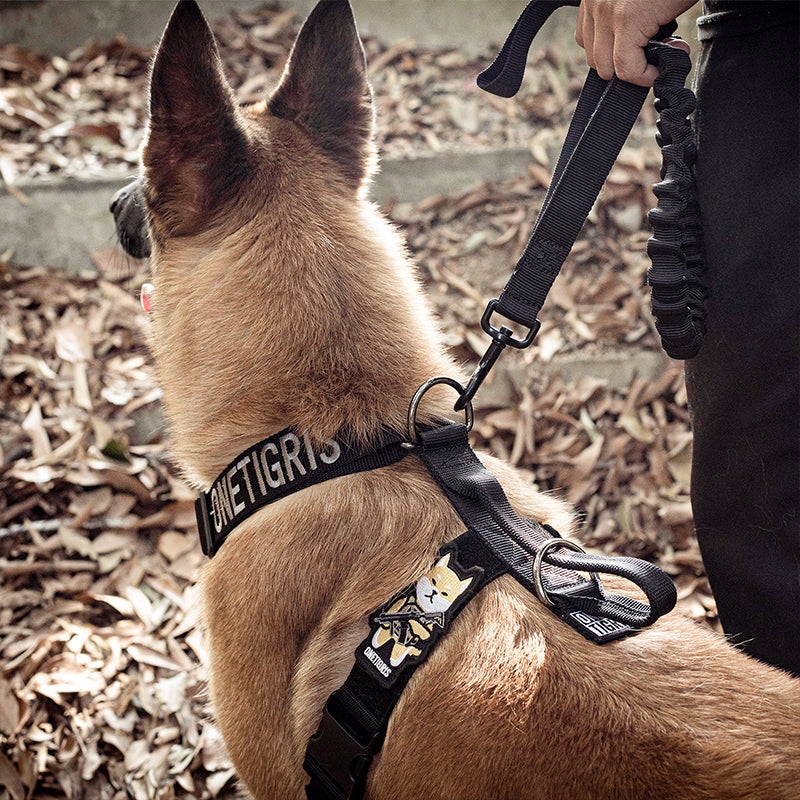 GOLIATH Dog Training Harness