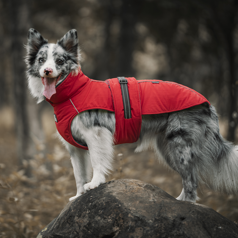 STORMWALL Dog Winter Coat