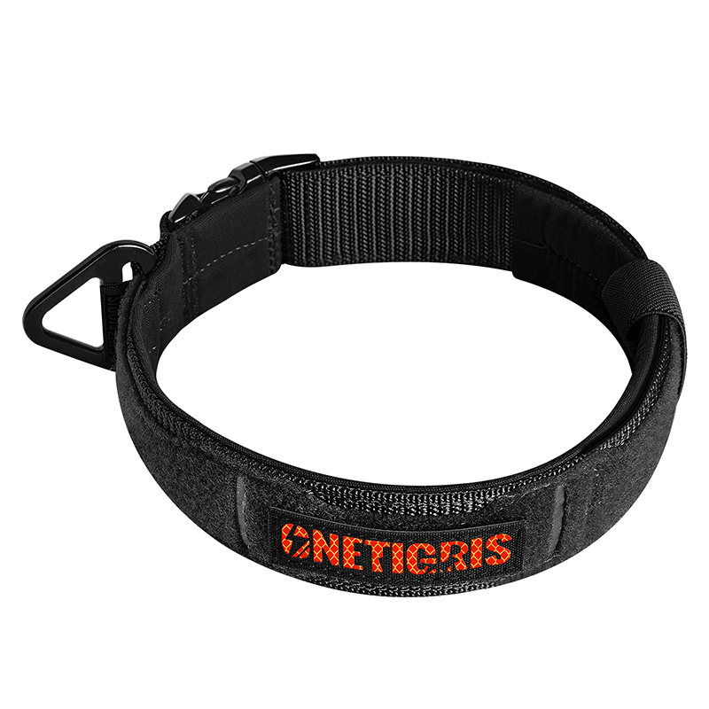 X11 Dog Collar