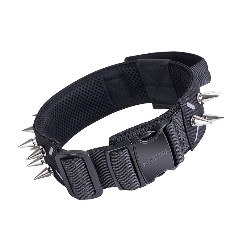 Spiked Dog Collar 13