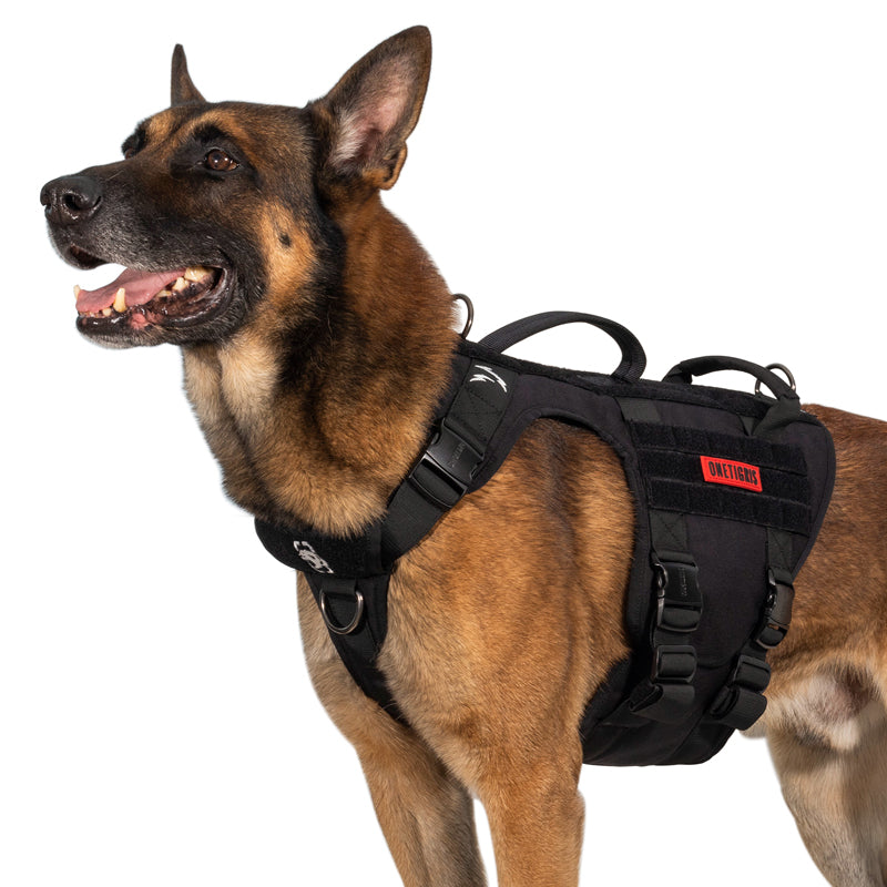 METALL Dog Harness