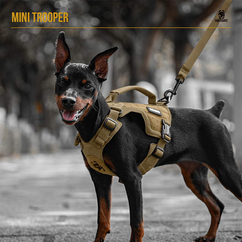 OneTigris No Pull Dog Harness for Medium Large Dogs Outdoor Reflective Serv GROVER Tactical Dog Harness