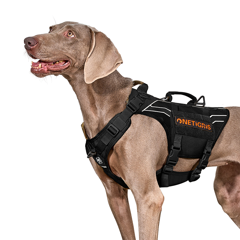 AIRE ARMOR Mesh Harness