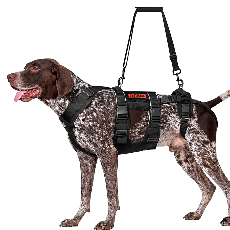 SKYEWALKER Support Harness