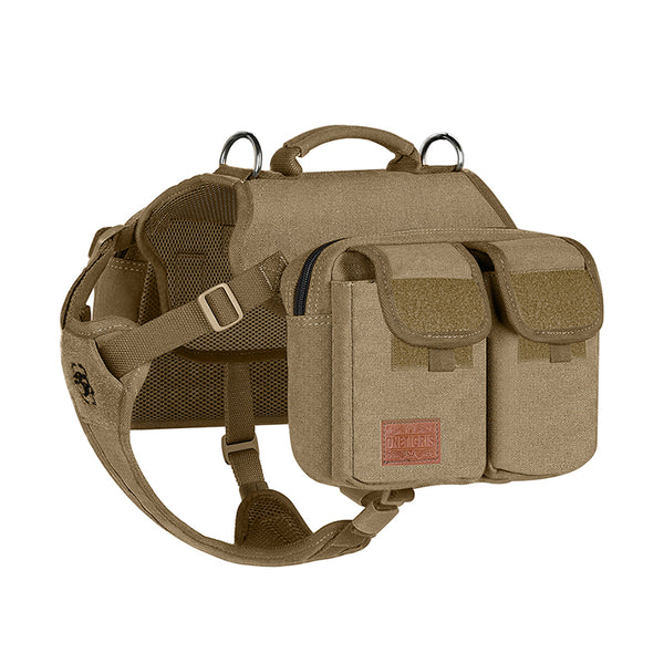 dg-sp038-cb-1-1_1_grande.jpg?v