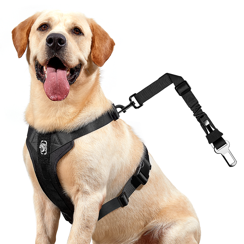 REX Car Use Dog Harness