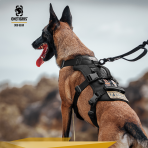 T-BONE Tactical Harness