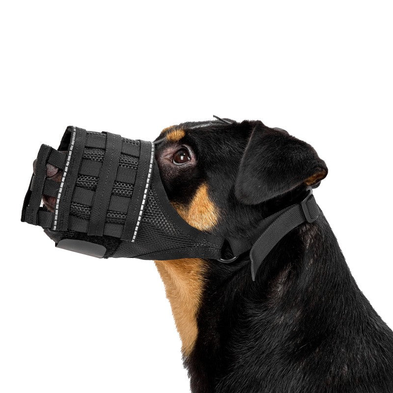 Dog Muzzle 03