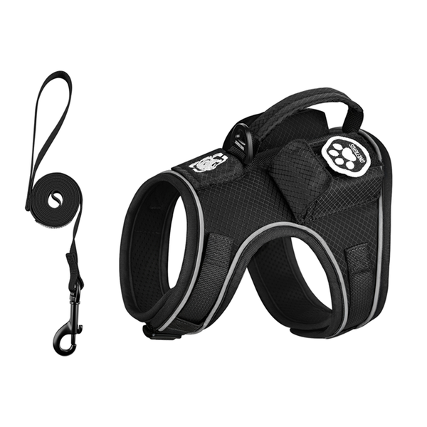 CATATRIX Escape-Proof Cat Harness – AirTag Pocket & Leash Set