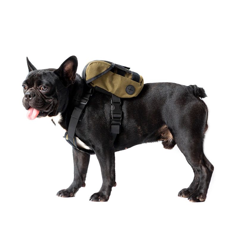 EUREKA K9 Backpack