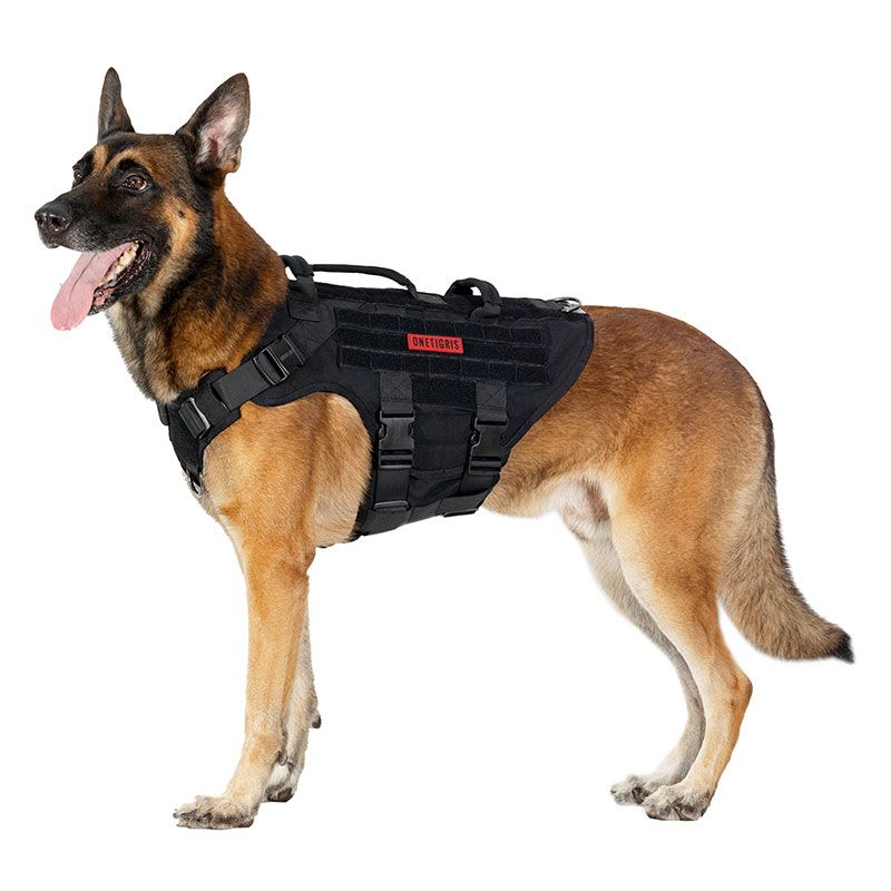 X DESTROYER Dog Harness