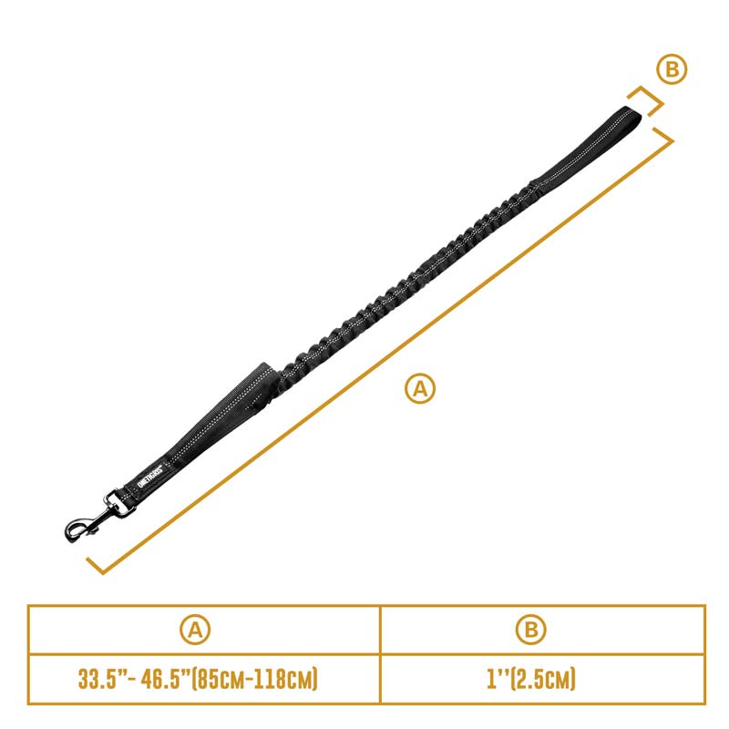 Dog Leash 02