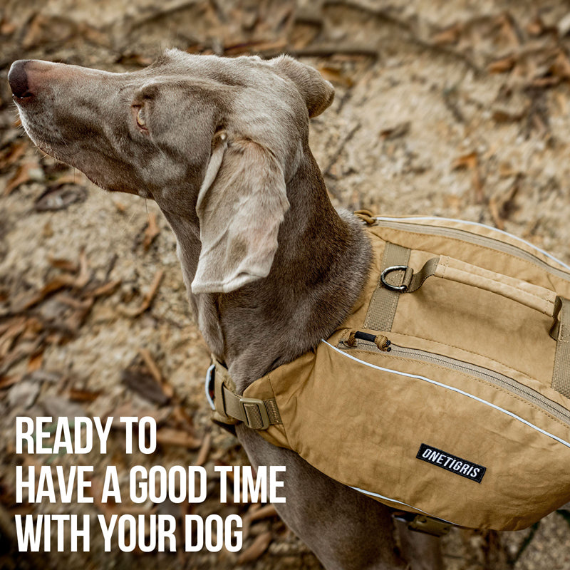 dog backpacks osprey Baydog Saranac Blue X-Large Backpack 1 Each by Baydog Construction features external tactical loops Backpack Lowes Pet Carrier Dog