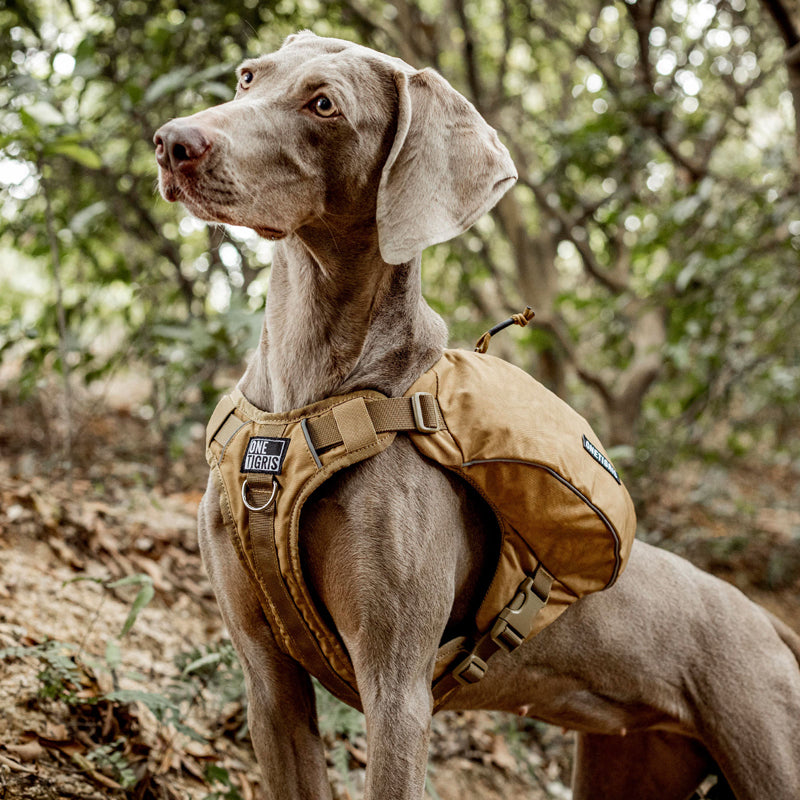 Lightweight Dog Backpack – 420D Nylon Saddle Bags for Hiking