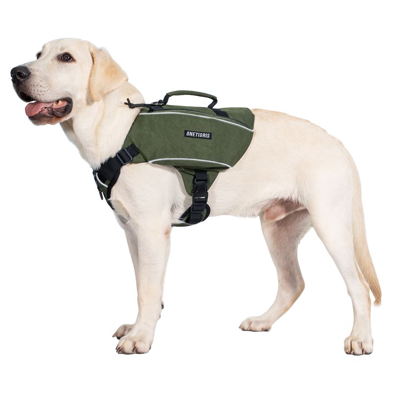 CAMELUS Dog Pack